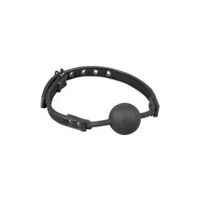 Mouth gag, Ball gag